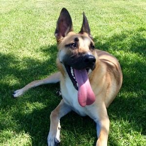 Meet your Posher, Brittney